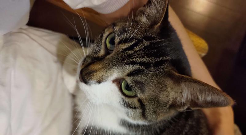 Featured image of post ブログが完成した